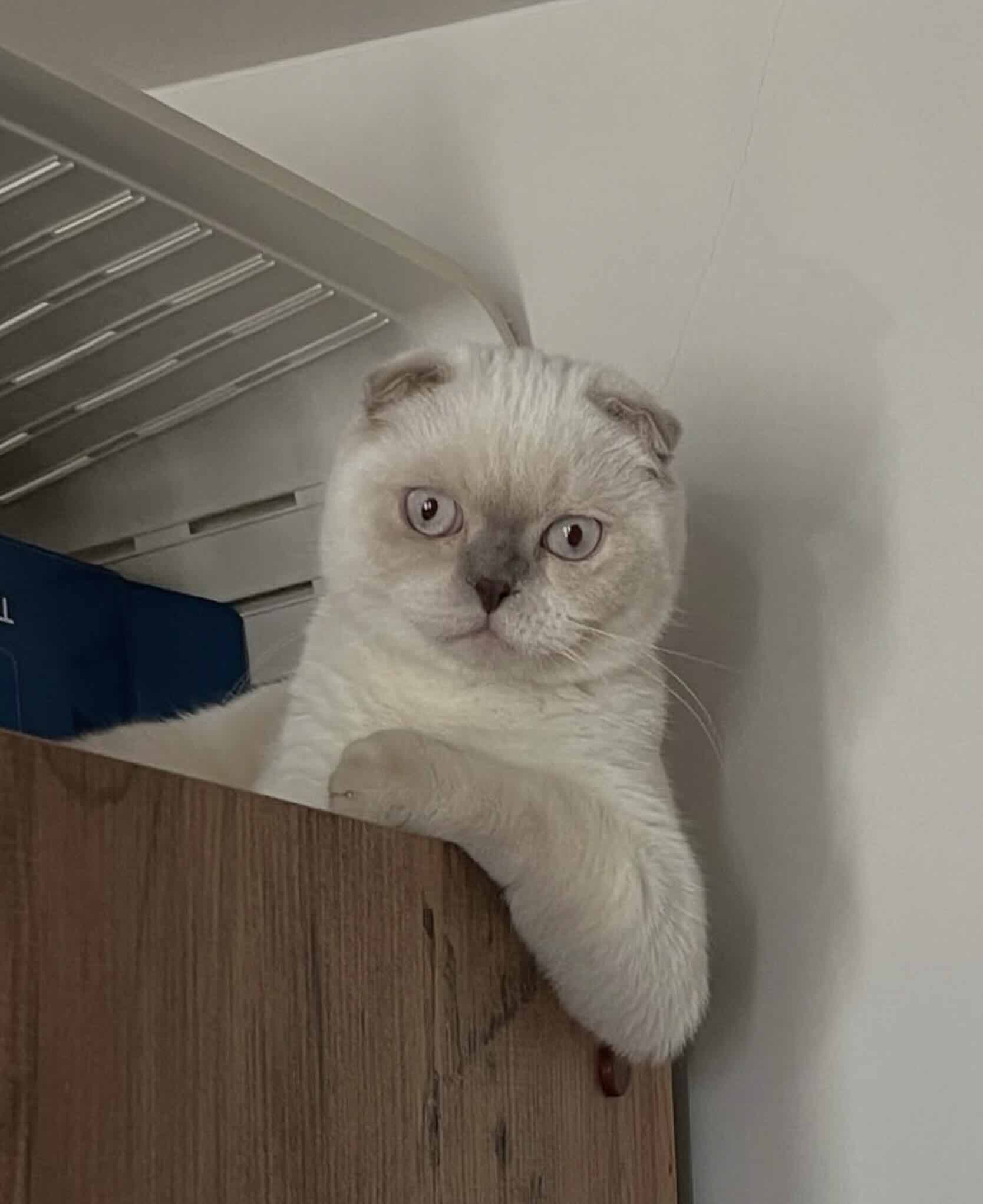 Amikor az elhagyás nem a jelenből indul